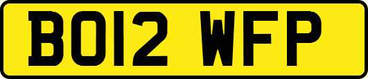 BO12WFP