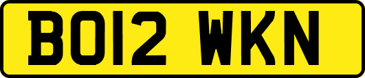 BO12WKN