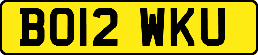 BO12WKU