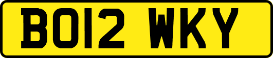BO12WKY