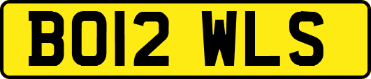 BO12WLS