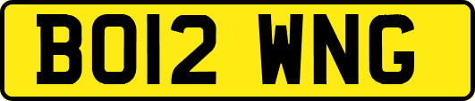 BO12WNG