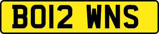 BO12WNS