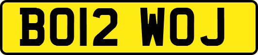BO12WOJ