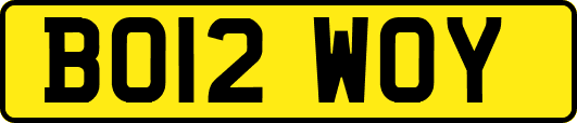 BO12WOY