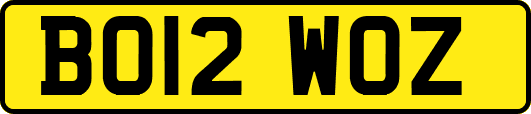 BO12WOZ