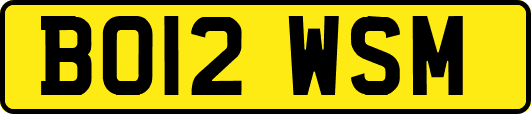 BO12WSM