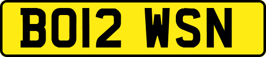 BO12WSN