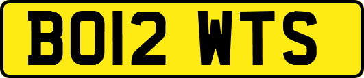 BO12WTS