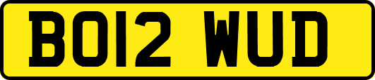 BO12WUD