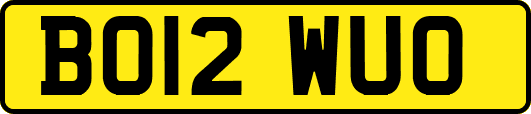 BO12WUO