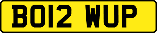 BO12WUP