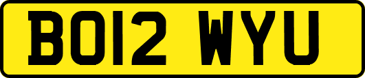 BO12WYU