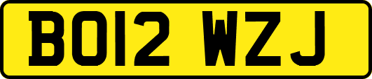 BO12WZJ