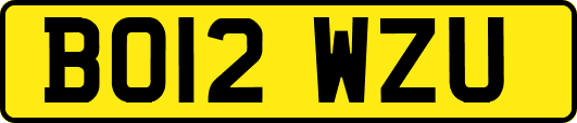 BO12WZU