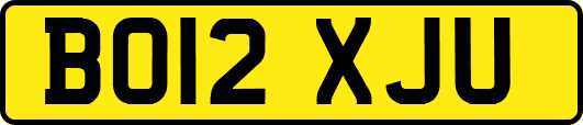 BO12XJU