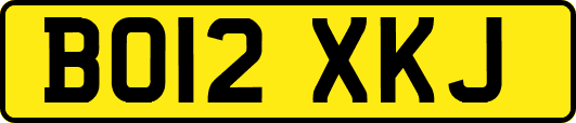 BO12XKJ