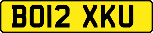 BO12XKU