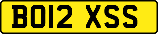 BO12XSS