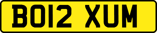 BO12XUM