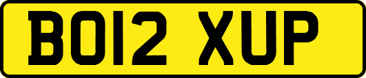 BO12XUP