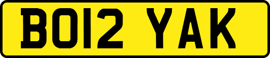 BO12YAK