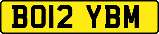 BO12YBM