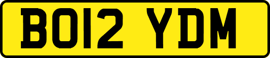 BO12YDM