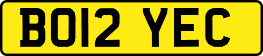 BO12YEC