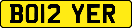 BO12YER