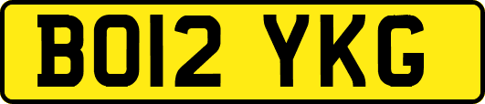 BO12YKG