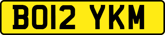 BO12YKM