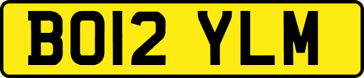 BO12YLM
