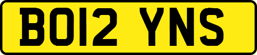 BO12YNS