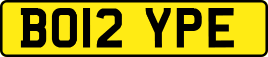 BO12YPE