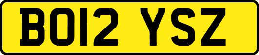 BO12YSZ
