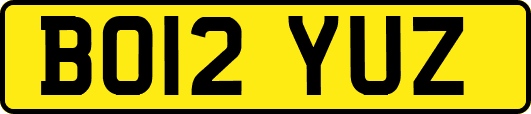 BO12YUZ