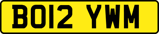 BO12YWM