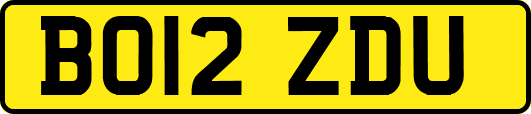 BO12ZDU