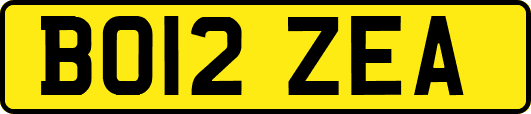 BO12ZEA