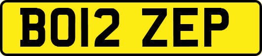 BO12ZEP