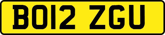 BO12ZGU