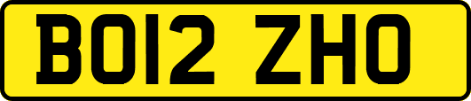 BO12ZHO