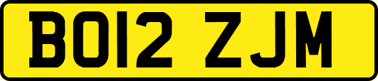 BO12ZJM