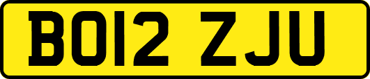 BO12ZJU