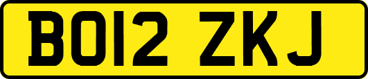 BO12ZKJ