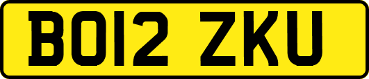 BO12ZKU
