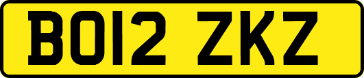 BO12ZKZ