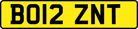 BO12ZNT