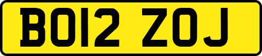BO12ZOJ